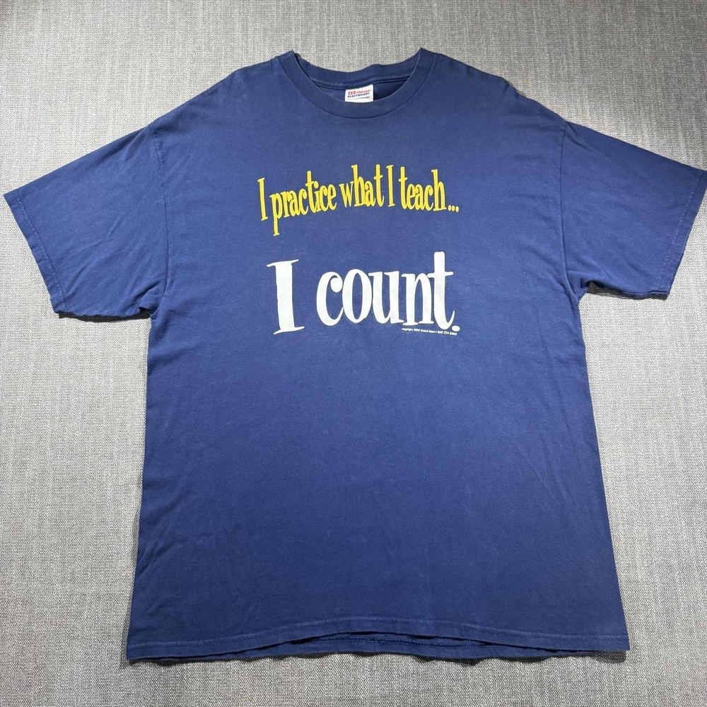 Vintage Hanes Shirt Mens XL Blue I Practice What I Teach I Count Teacher Math